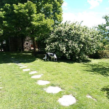 فيلا غريفي ان شنتيفي Casa Mezzuola Agriturismo المظهر الخارجي الصورة