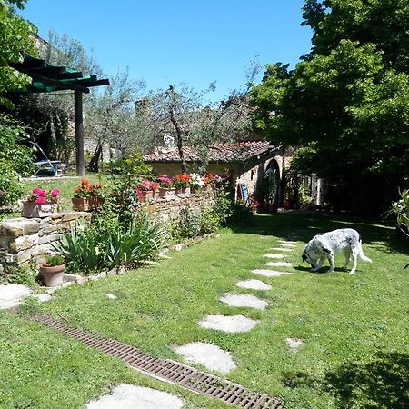 فيلا غريفي ان شنتيفي Casa Mezzuola Agriturismo المظهر الخارجي الصورة