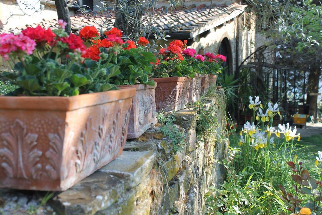 فيلا غريفي ان شنتيفي Casa Mezzuola Agriturismo المظهر الخارجي الصورة