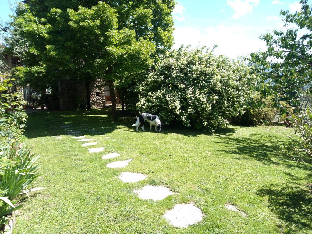 فيلا غريفي ان شنتيفي Casa Mezzuola Agriturismo المظهر الخارجي الصورة